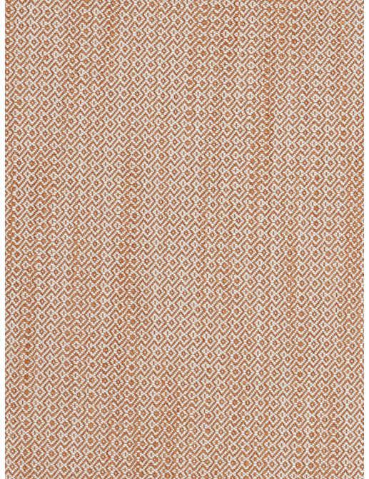 Ткань Fabricut Chromatics Vol.XXV Coral Palindrome/Papaya