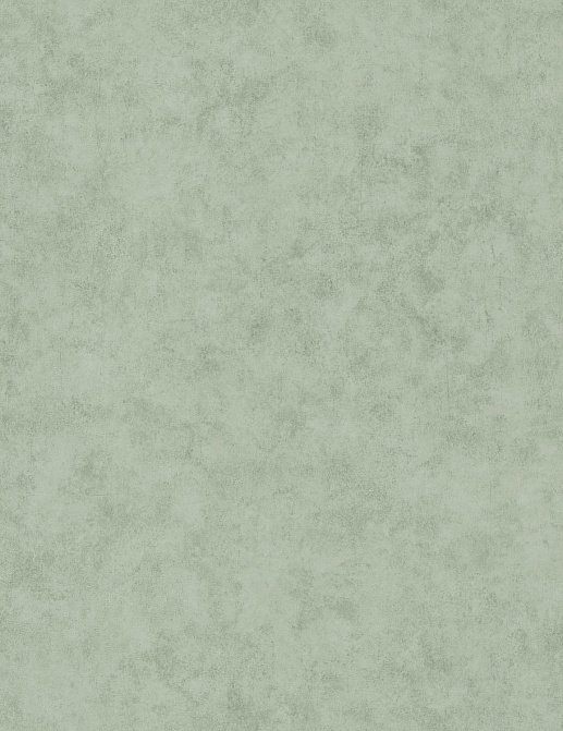 Обои Caselio Beton 2 BTO101487332