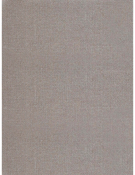 Обои Holland & Sherry Textured Collection DEWP7824/Europa