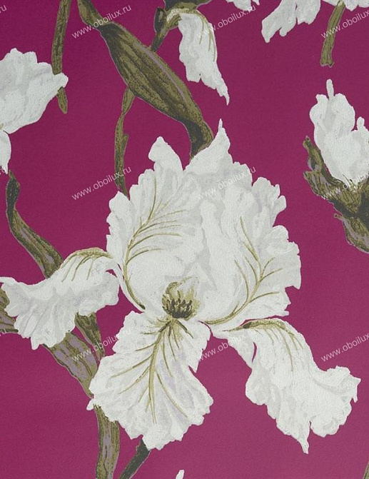 Обои Casamance Absolue 9530294