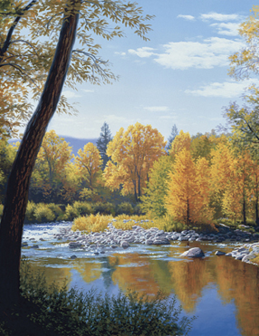 Бордюр York Lake Forest Lodge LM7991M