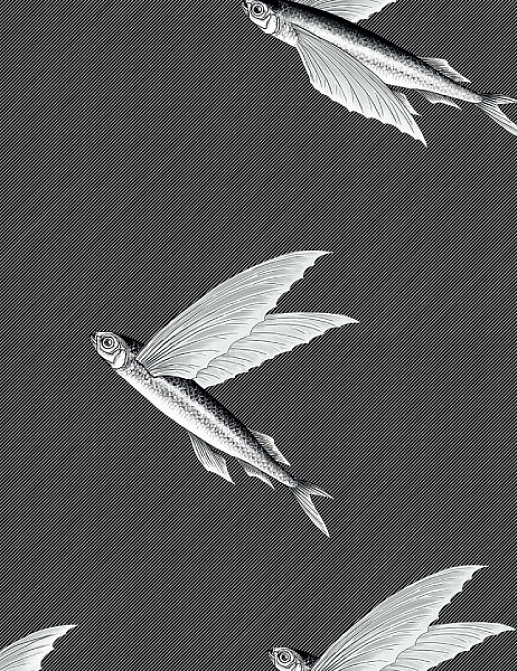 Ткань Flying Fish Interior Textiles П-1-Р
