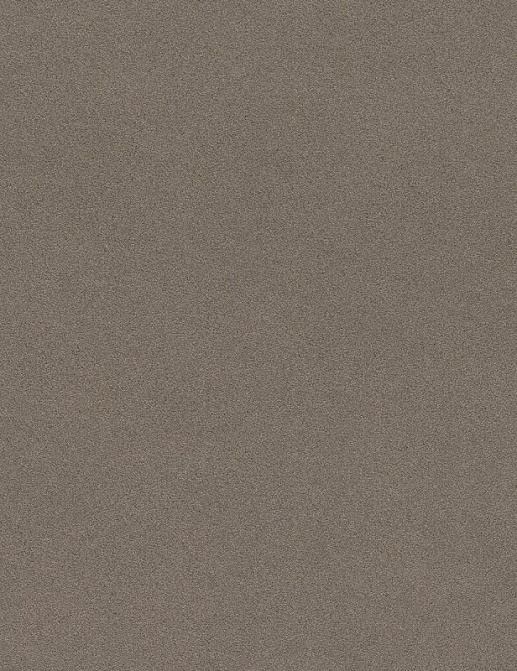 Обои Rasch Passepartout 607277