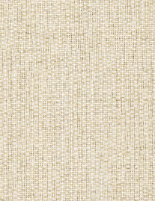 Обои York Ronald Redding Grasscloth & Natural Resource GV0181