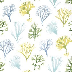Обои Thibaut Seaside T6738