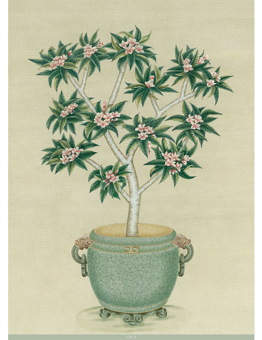 Панно и фотообои Iksel Scenic & Architectural Wallpapers Trees In Celadon Pots GEL2