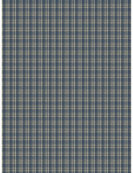 Ткань Fabricut Checks&Stripes Avalon Lane Tornado/Indigo