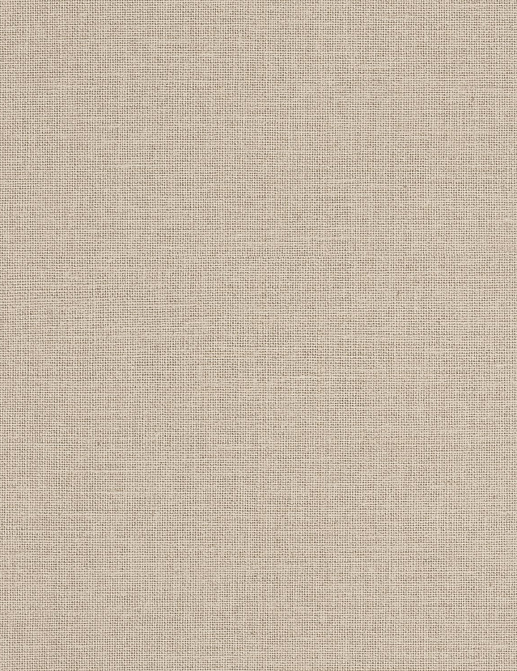 Обои Caselio Jute JTE104011025