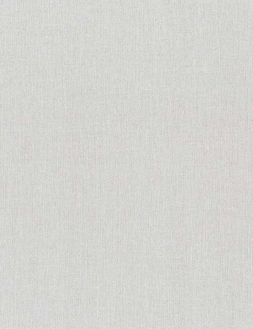 Обои Rasch Настенные структуры. Том 4 / Wall Textures XL Vol. 4 960785