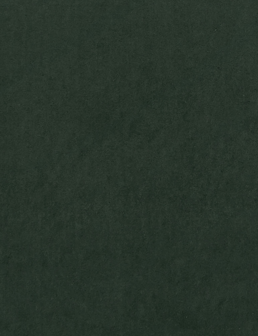 Ткань Clarke & Clarke Alvar 2 F0753/65