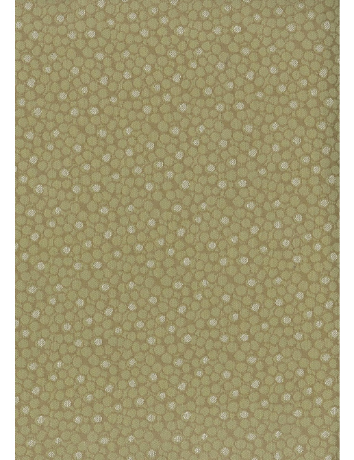 Ткань Nina Campbell Woodsford Weaves NCF4081-05