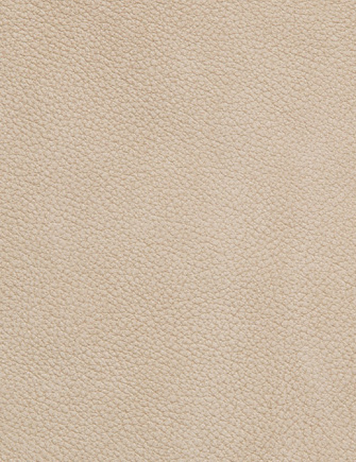 Ткань Holly Hunt Holly Hunt Leather 6002/31