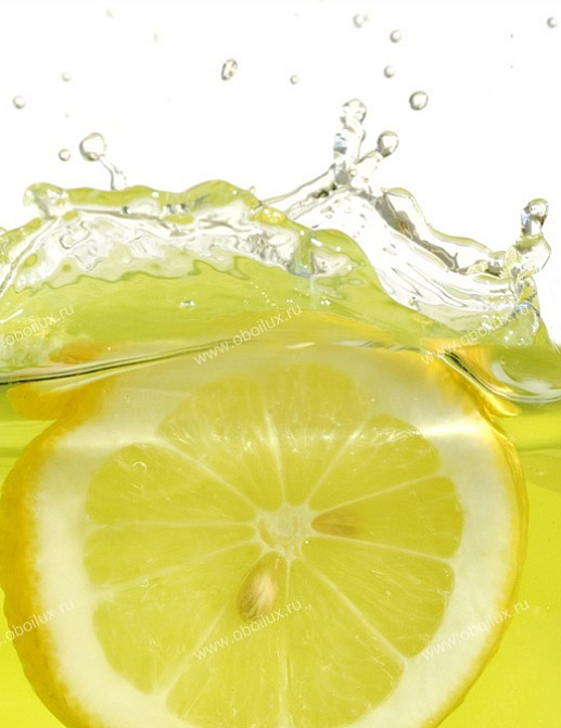 Панно и фотообои A. S. Creation XXL II 355 Lemon Slice in Water