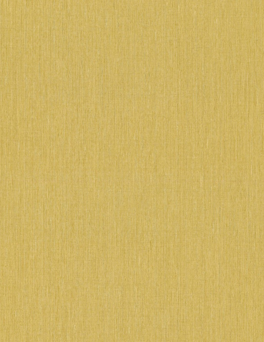 Обои Rasch Barbara Home Collection II 537192