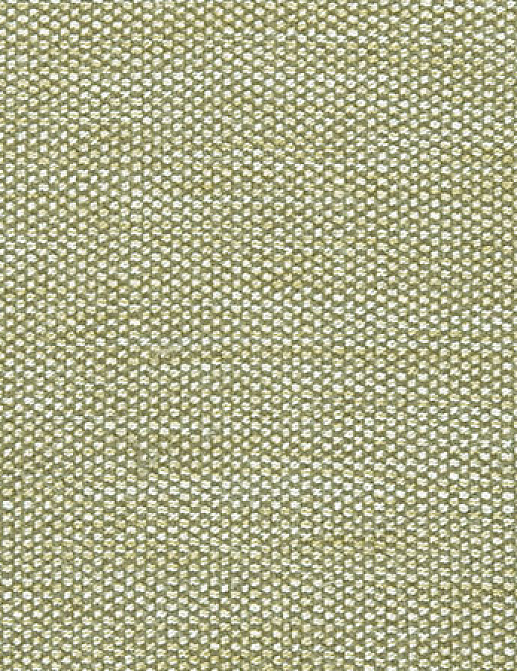 Ткань Designers Guild Rinzu F1599/05