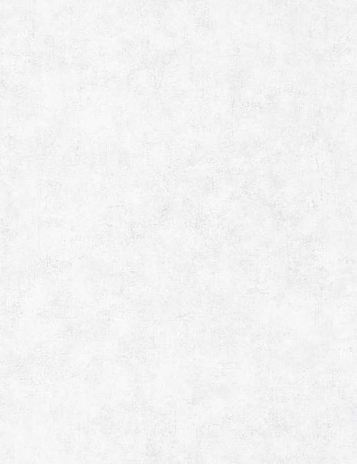 Обои Caselio Beton 101489000