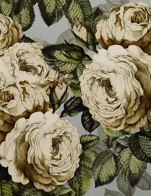 Обои Designers Guild John Derian - Picture Book PJD6002-06