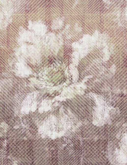 Панно и фотообои JWall 1002 Pandora WJU00443
