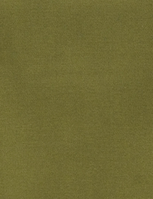 Ткань Fabricut Classic Cotton Vol.IV Multipurpose Classic cotton/Turtle