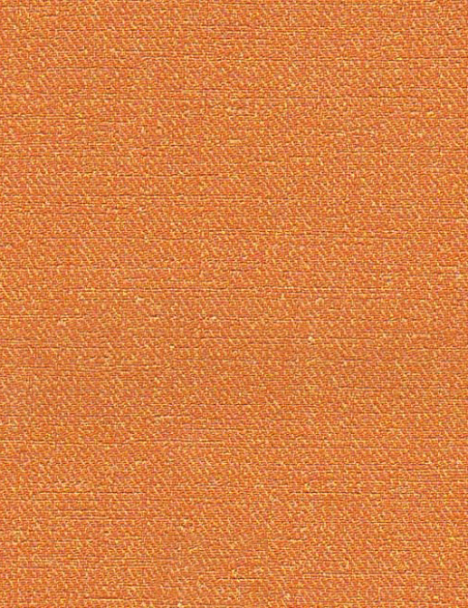 Обои Elitis Toile Peinte Colours and Prints VP40214