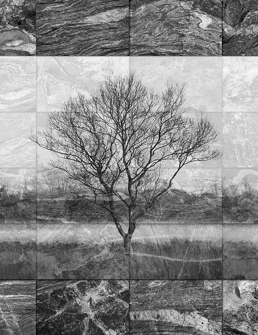 Обои Wall Street Grayscale 16946