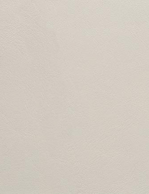 Ткань Holly Hunt Holly Hunt Leather 9250/06