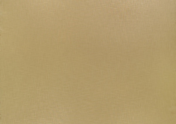 Ткань Designers Guild Molveno FT1333/14