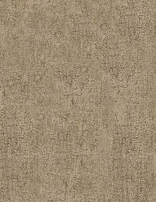 Обои A. S. Creation Dekora Natur VI 9592-02