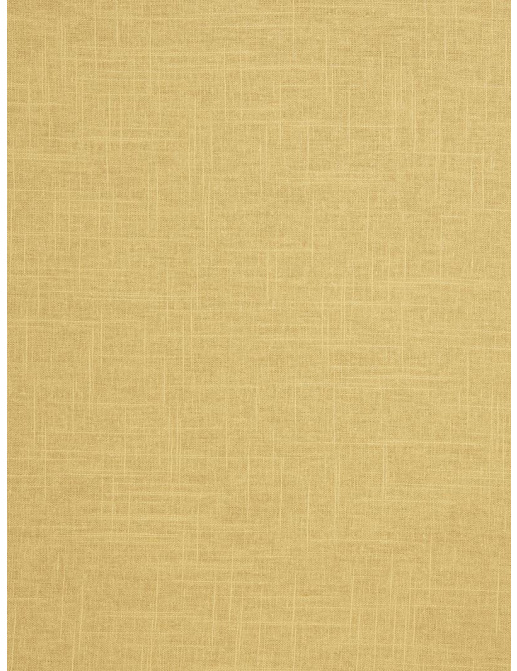 Ткань Trend Lemon Zest Cashew Prints & Wovens Vol.III 02636/Honey