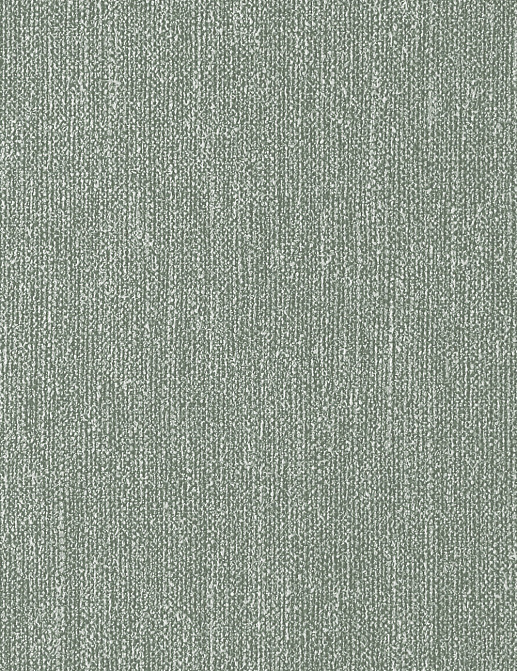 Обои Borastapeter Linen 5565