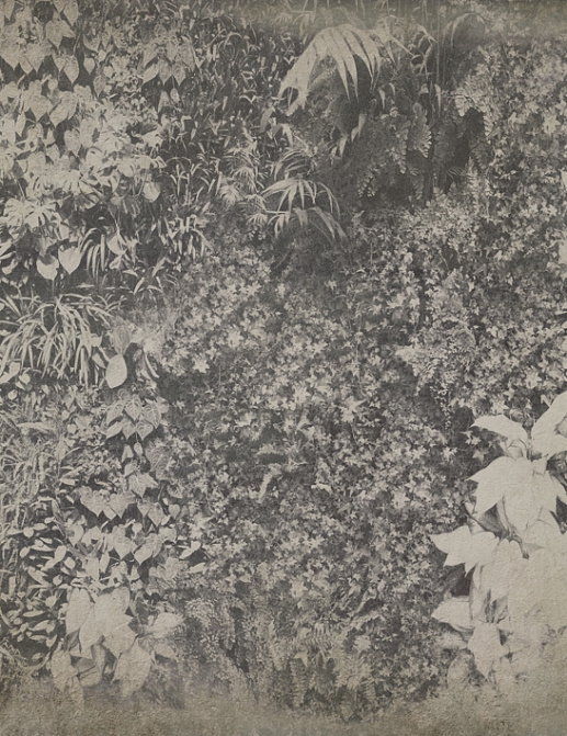 Панно и фотообои Wall & Deco 2015 WDVG1502