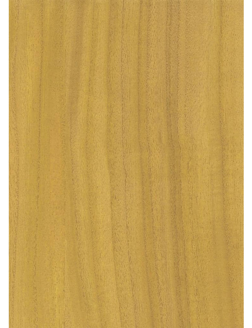 Обои B&M Living Woods H157NV1041
