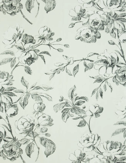 Ткань Designers Guild Pavilion F1685/05