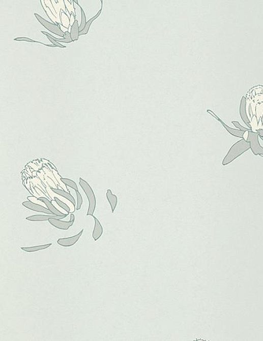 Обои Paint & Paper Library Tresco Buds Blue Gum