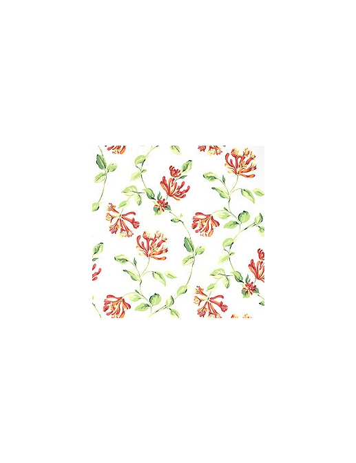 Обои Thibaut Seaside T6725