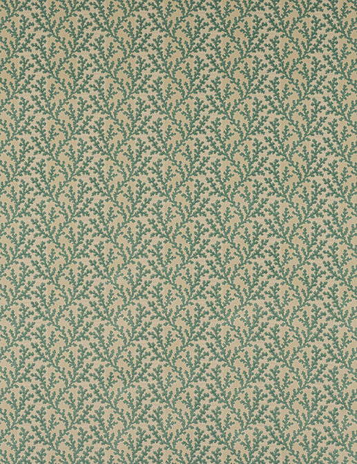 Ткань Colefax and Fowler Pelham F4857/01