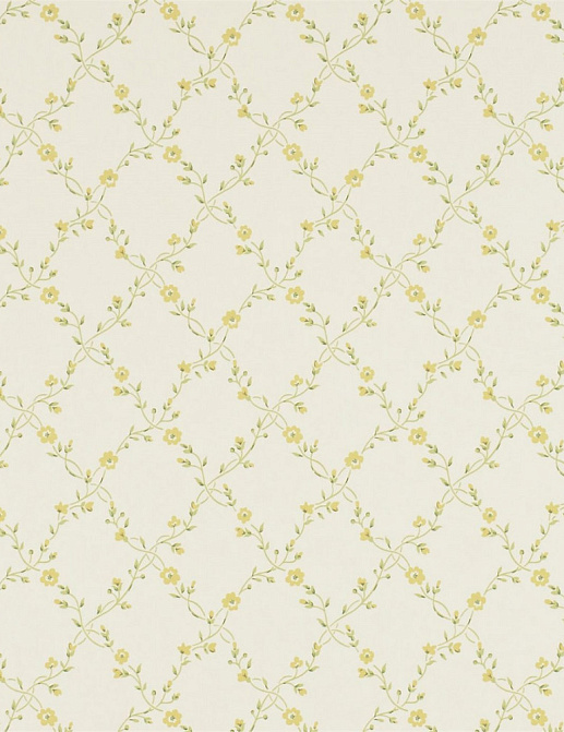 Обои Sanderson Pemberley DPEMFM103
