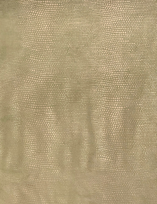 Ткань Galleria Arben Bernini Talenti/11
