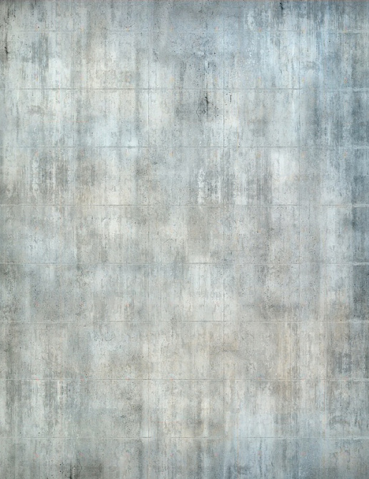 Панно и фотообои Affresco Фрески и фотообои ID135614
