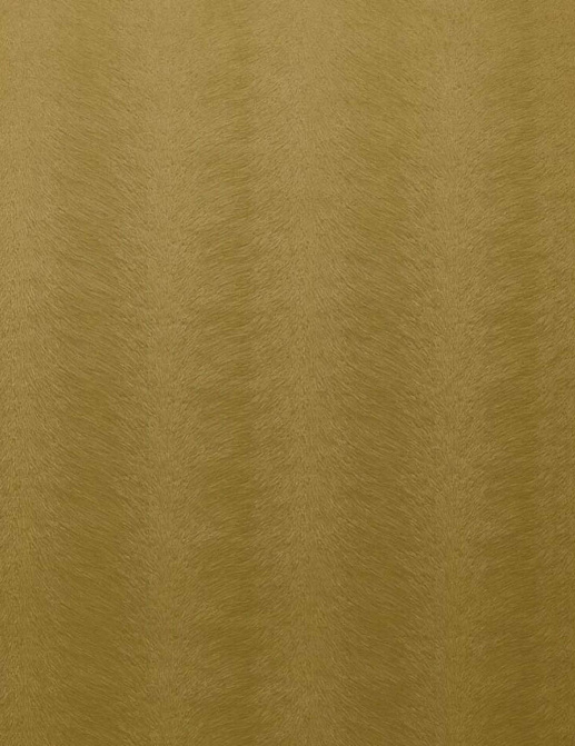 Ткань KAI Allegra II Allegra/Ochre
