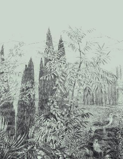Панно и фотообои Affresco Dream Forest DG68 COL2