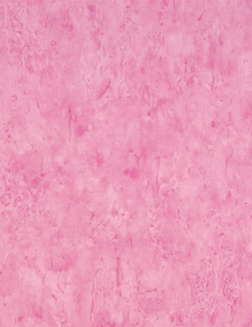 Обои Designers Guild Naturally III P559/01