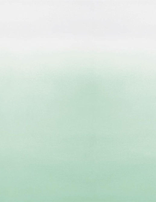 Панно и фотообои Designers Guild Marquisette P600-13