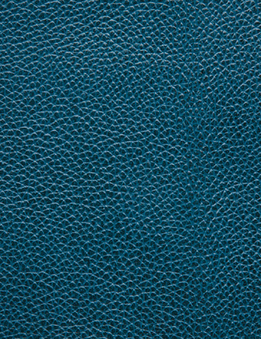 Ткань Holly Hunt Holly Hunt Leather 6013/11