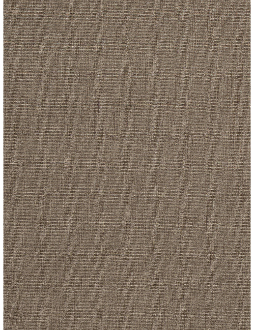 Ткань Trend Drapery dim out library 02887/Chestnut