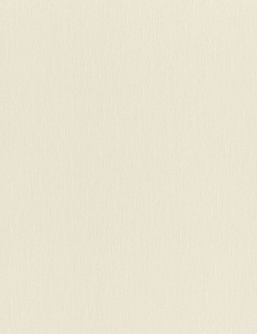 Обои Rasch Wall Textures XL Vol3 979367