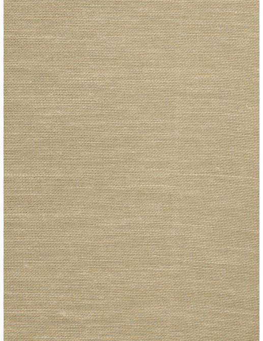 Ткань Trend Lemon Zest Cashew Prints & Wovens Vol.III 02626/Toast