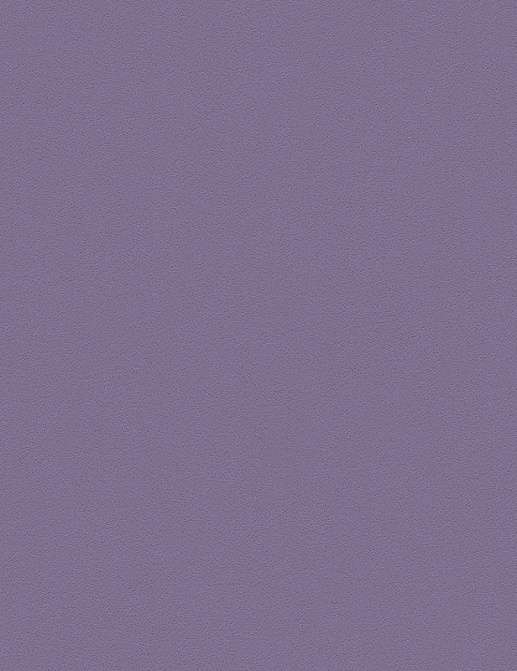 Обои A. S. Creation Die Glatte Wand 309181