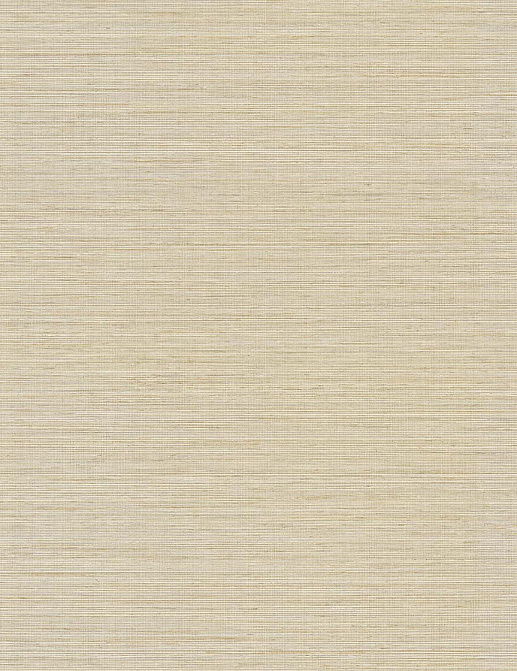 Обои Paper & Ink Shades & White WS70505