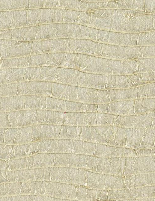 Обои York Designer Resource Grasscloth and Natural Wallpaper NZ0701